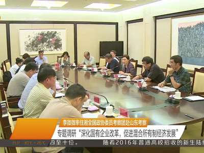 李微微率住湘全国政协委员考察团赴山东考察