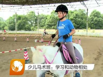 少儿马术班：学习和动物相处