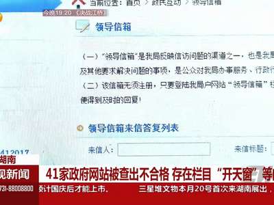 41家政府网站被查出不合格 存在栏目“开天窗”等问题