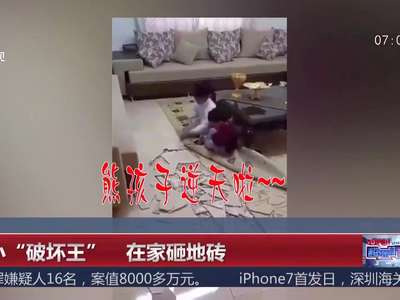 [视频]小小“破坏王”在家砸地砖
