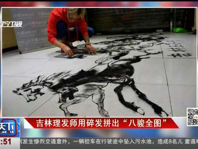 [视频]吉林理发师用碎发拼出“八骏全图”