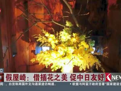 [视频]日本：古屋插花 跨越时空之美