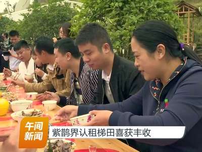 紫鹊界认租梯田喜获丰收