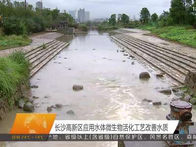 长沙高新区应用水体微生物活化工艺改善水质