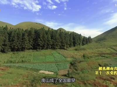 初心璀璨：南山上的青春之歌