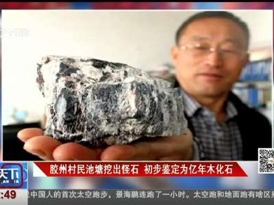 [视频]胶州村民池塘挖出怪石 初步鉴定为亿年木化石
