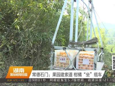 常德石门：果园建索道 柑橘“坐”缆车