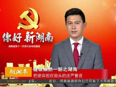 胡湘平：建设焕然一新之湖南