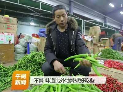 都市夜忙人：“辣椒夫妇”月收入上万