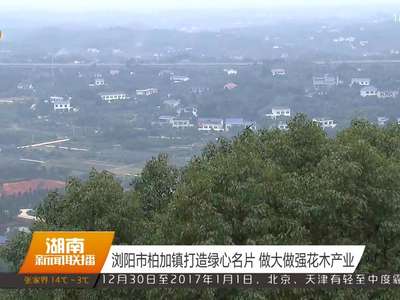 浏阳市柏加镇打造绿心名片 做大做强花木产业