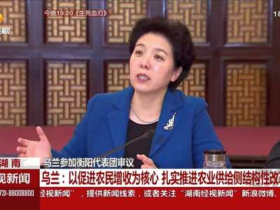 乌兰参加衡阳代表团审议：以促进农民增收为核心 扎实推进农业供给侧结构性改革