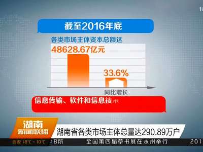 湖南省各类市场主体总量达290.89万户