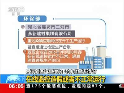 [视频]京津冀区域重污染 环保督查进行时：发现油品超标 在线监控造假问题