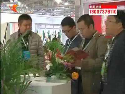 益阳：莎丽袜业新型产品 闪耀上海袜交会