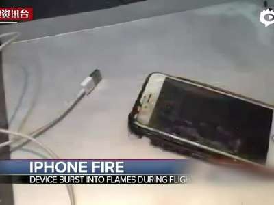 [视频]阿拉斯加航空客机惊险一幕：乘客iPhone窜起火苗