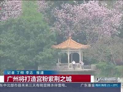 [视频]今后广州春天会是粉色的 将打造宫粉紫荆之城