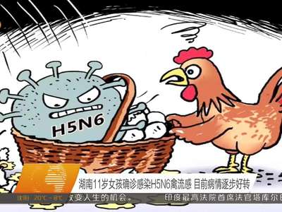 湖南11岁女孩确诊感染H5N6禽流感 目前病情逐步好转
