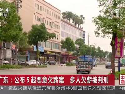 [视频]广东：公布5起恶意欠薪案 多人欠薪被判刑