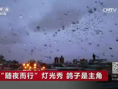 [视频]“随夜而行”灯光秀 鸽子是主角