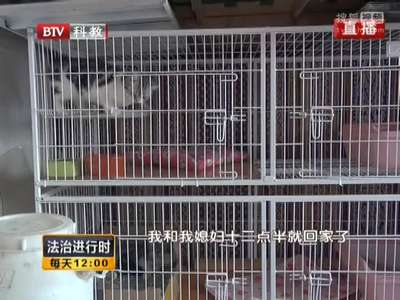 [视频]监拍女贼调虎离山 潜入店主家偷走价值13万名猫