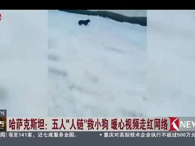 [视频]哈萨克斯坦：五人“人链”救小狗 暖心视频走红网络