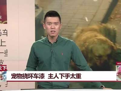 [视频]宠物狗挠坏车漆 主人下手太狠致重伤