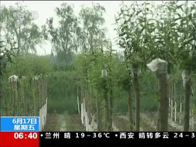 [视频]关注世界防治荒漠化和干旱日