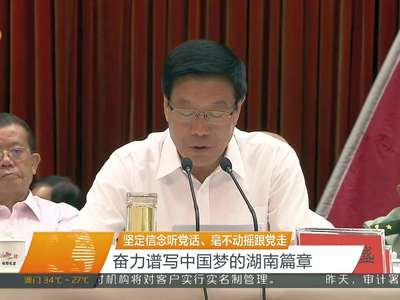 湖南省举行庆祝中国共产党成立95周年大会 徐守盛讲话 杜家毫主持 李微微等出席