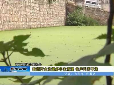 衡阳：临街污水池塘多年未清理 住户叫苦不迭