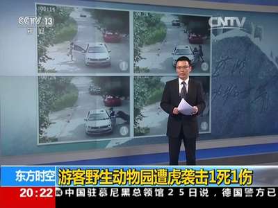 [视频]游客野生动物园遭虎袭击1死1伤