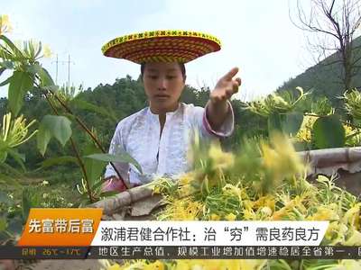 先富带后富 溆浦君健合作社：治“穷”需良药良方