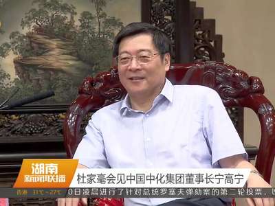 杜家毫会见中国中华集团董事长宁高宁