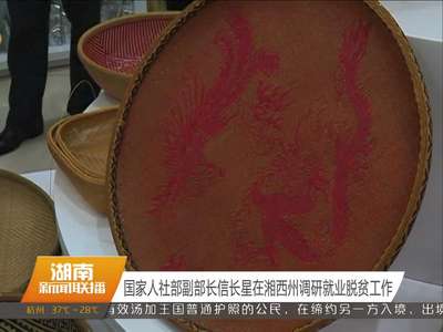 国家人社部副部长信长星在湘西州调研就业脱贫工作