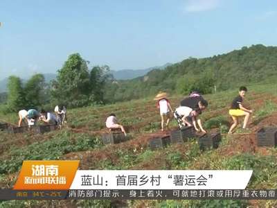 蓝山：首届乡村“薯运会”