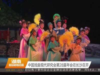 中国戏曲现代研究会第28届年会在长沙召开