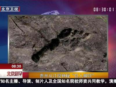 [视频]贵州从江现神秘“巨人脚印” 长57cm宽20cm