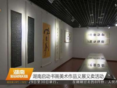 湖南启动书画美术作品义展义卖活动