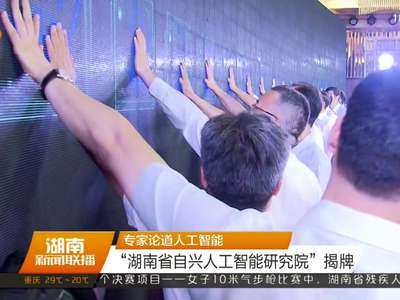 专家论道人工智能 “湖南省自兴人工智能研究院”揭牌