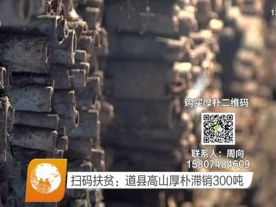 扫码扶贫：道县高山厚朴滞销300吨