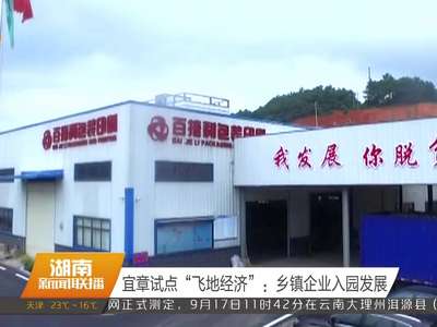 宜章试点“飞地经济”：乡镇企业入园发展