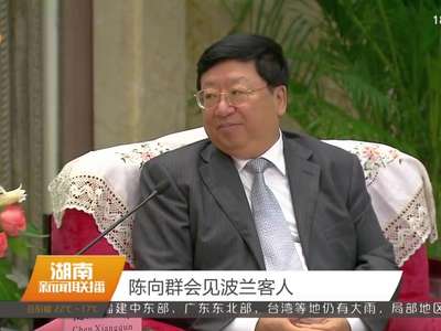 陈向群会见波兰客人