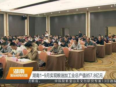 湖南1-9月实现粮油加工业总产值857.8亿元