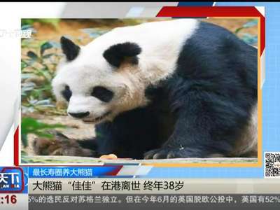 [视频]最长寿圈养大熊猫“佳佳”在港离世 终年38岁