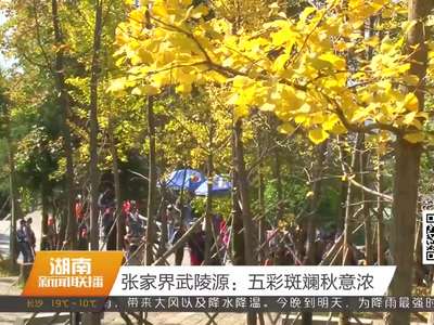 张家界武陵源：五彩斑斓秋意浓