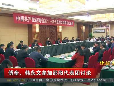 傅奎、韩永文参加邵阳代表团讨论