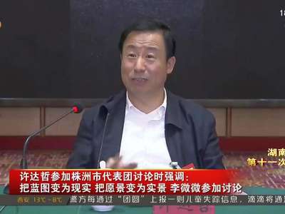 许达哲参加株洲市代表团讨论时强调 把蓝图变为现实 把愿景变为实景 李微微参加讨论