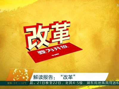 解读报告：“改革”