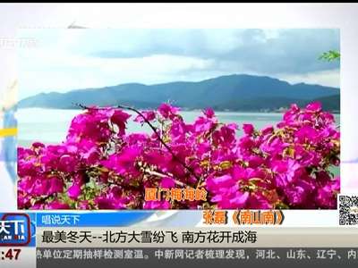 [视频]最美冬天：北方大雪纷飞 南方花开成海