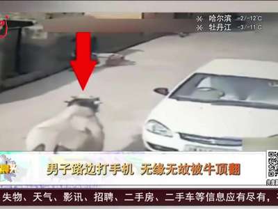 [视频]男子路边打手机 无缘无故被牛顶翻