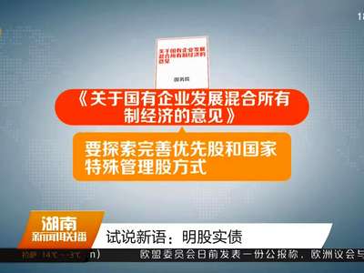 试说新语：明股实债